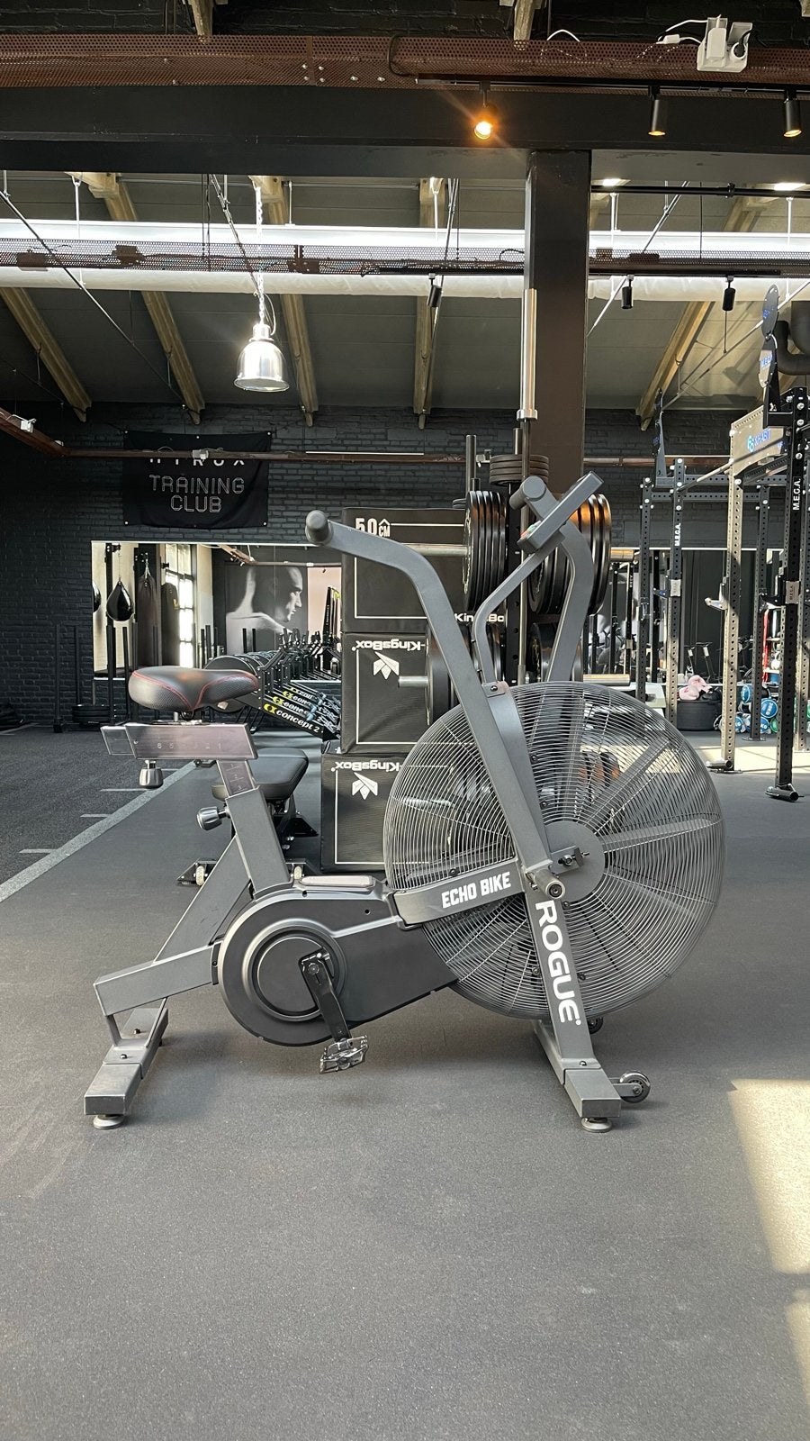 Rogue Echo Bike V3.0, Ophalen, Armen, Zo goed als nieuw, Airbike
