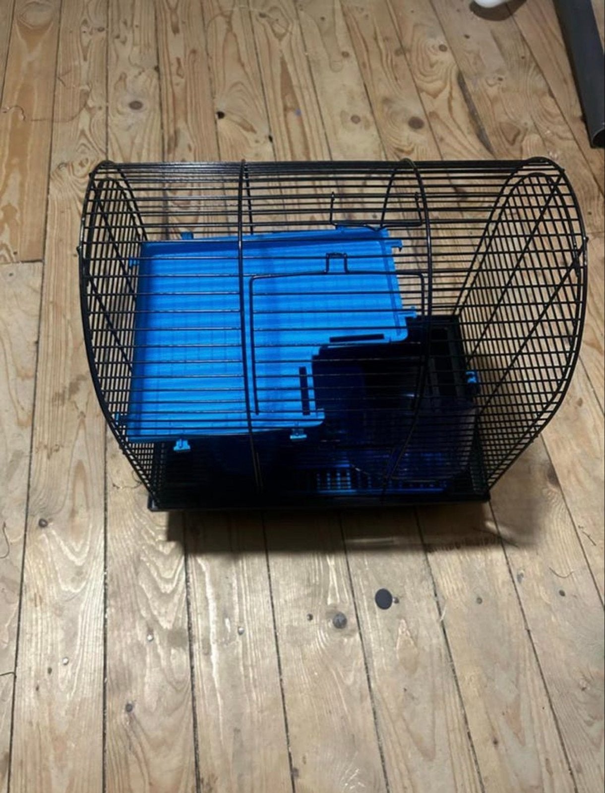 Hamsterkooi, Dieren en Toebehoren, Ophalen of Verzenden, Overige typen