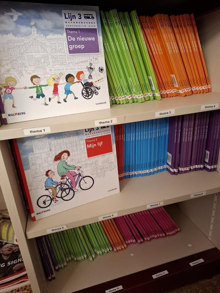 Lijn 3 leesboekjes 12 thema's, Ophalen of Verzenden, Zo goed als nieuw, Overige niveaus, Nederlands