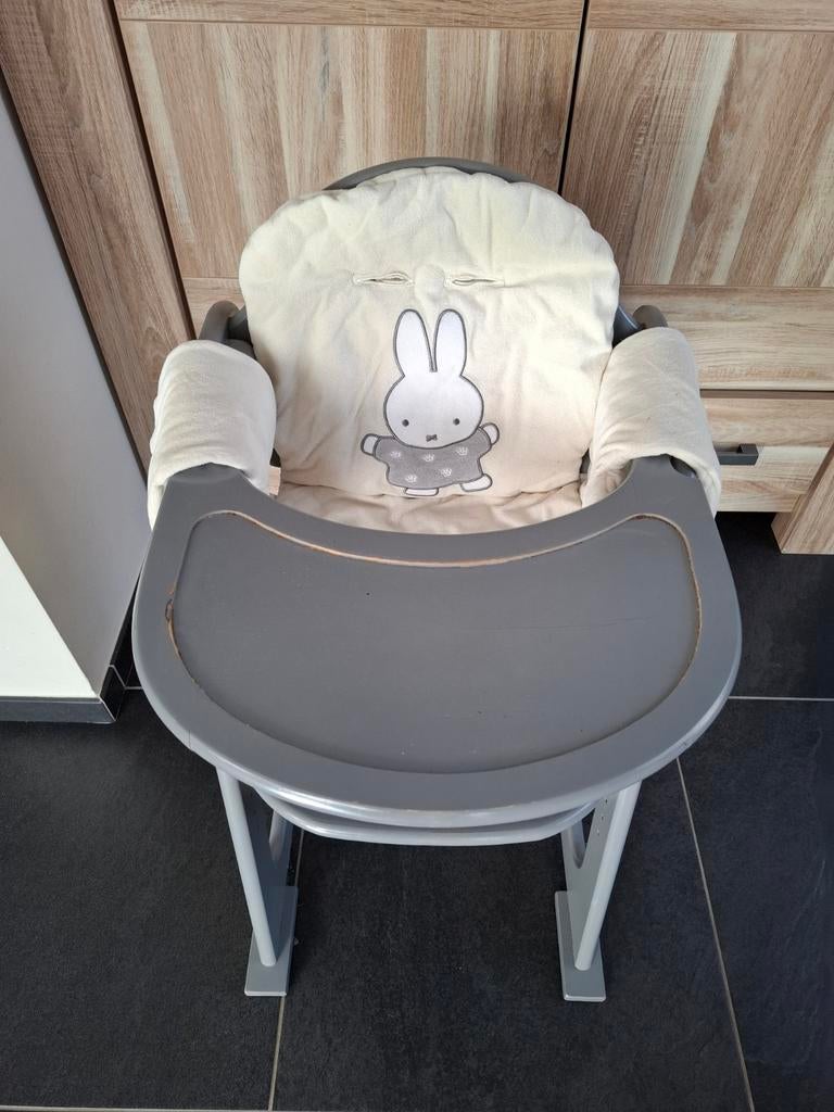 Tiamo meegroeistoel, Kinderen en Baby's, Ophalen, Gebruikt, Meegroeistoel, Gordel(s)