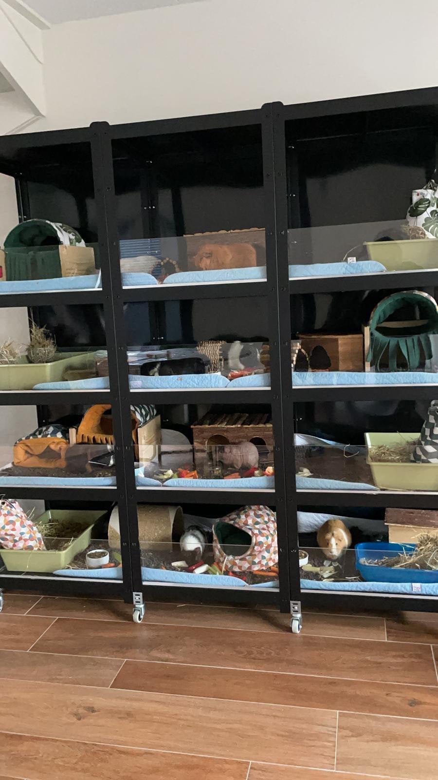 Groot caviahok caviaflat, Dieren en Toebehoren, Ophalen, 90 cm of meer, Hok, Cavia