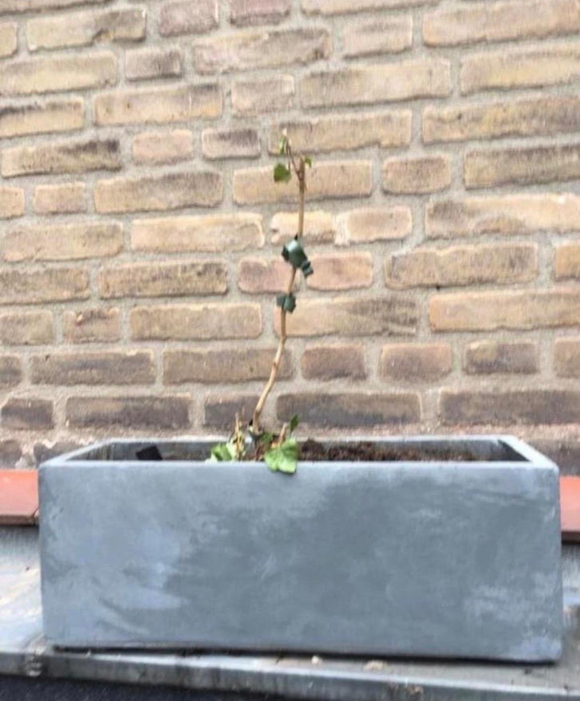 Mooie strakke grijze rechthoekige bloembak van kunststof, Ophalen, Kunststof, Minder dan 30 cm, Zo goed als nieuw