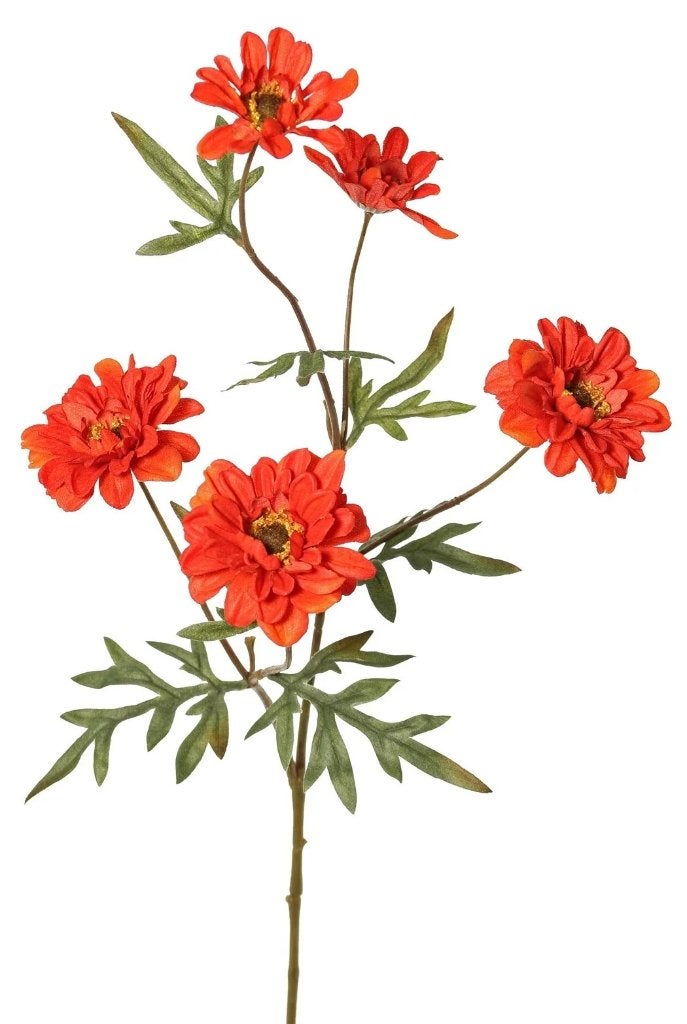 TOP ART - PRACHTIGE DAHLIA TAK, Ophalen of Verzenden, Nieuw