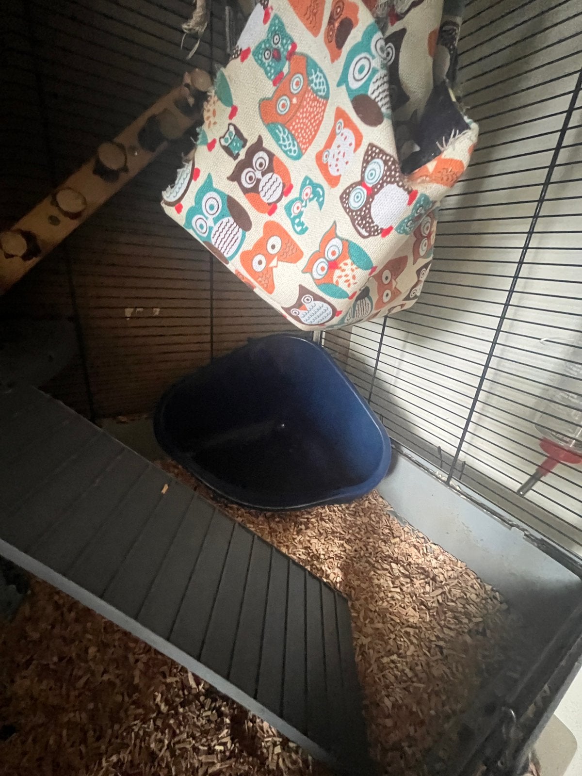 Ratten Kooi Te koop, Gebruikt, 75 tot 110 cm, Ophalen, Minder dan 60 cm
