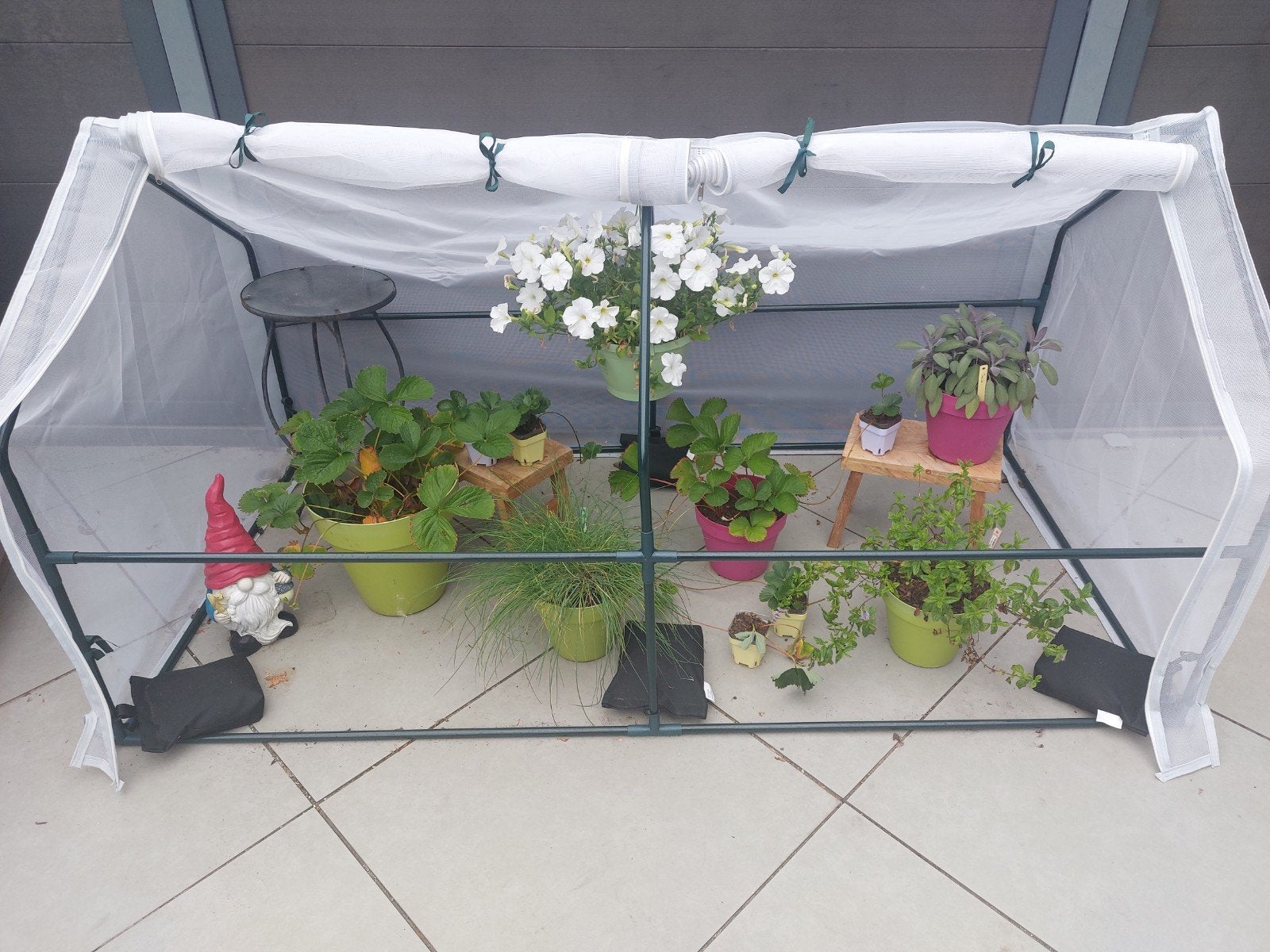 mini tuinkas 180x90x90, Ophalen, Zo goed als nieuw