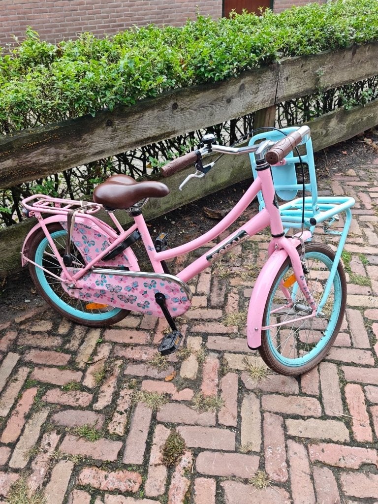 Popal Daily Dutch meisjesfiets 20 inch roze/turquoise + mand, Ophalen, Terugtraprem, Gebruikt, Handrem