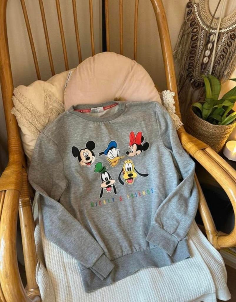 Grijze trui met alle karakters van disney - maat s, Ophalen of Verzenden, Zo goed als nieuw