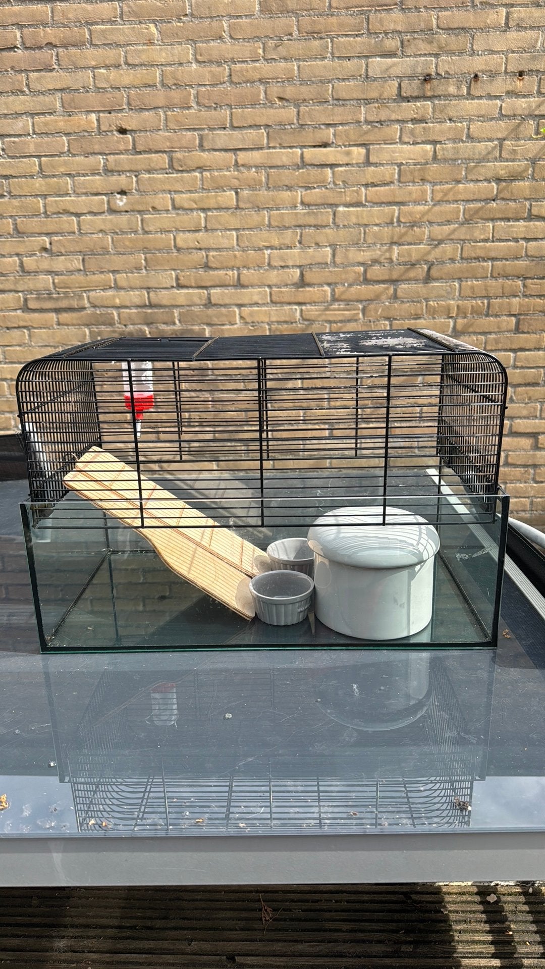 Kooi kleine knaagdieren, Dieren en Toebehoren, Kooi, Gebruikt, Minder dan 75 cm, Hamster