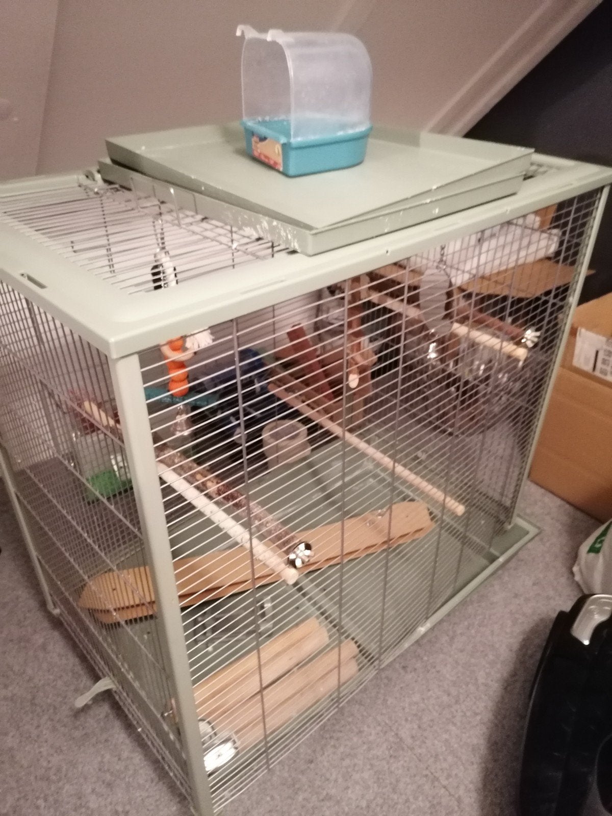 Vogelkooi, Dieren en Toebehoren, Ophalen, Gebruikt, Metaal, Vogelkooi