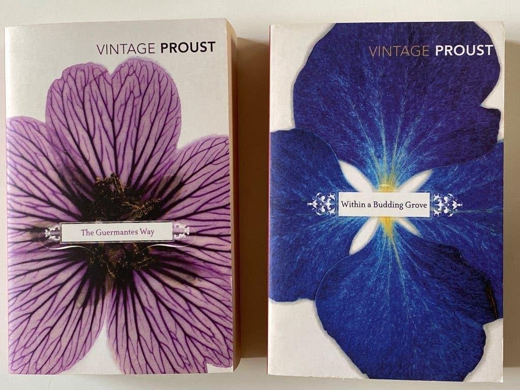 Proust deel 2 & 3, Ophalen of Verzenden, Gelezen
