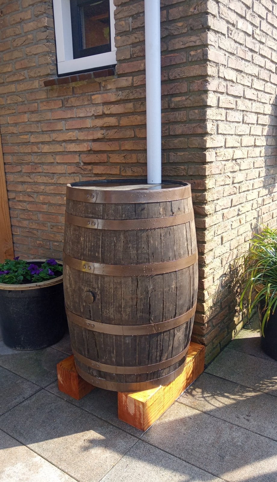 Regenton, whiskyvaten, eikenhout, 150 liter of meer, Ophalen, Zo goed als nieuw, Hout