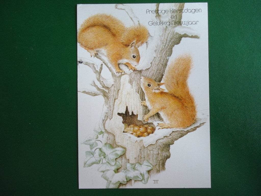 (164) Dierenkaart: EEKHOORNS, Verzamelen, Ansichtkaarten | Dieren, Verzenden, 1980 tot heden, Gelopen, Overige soorten