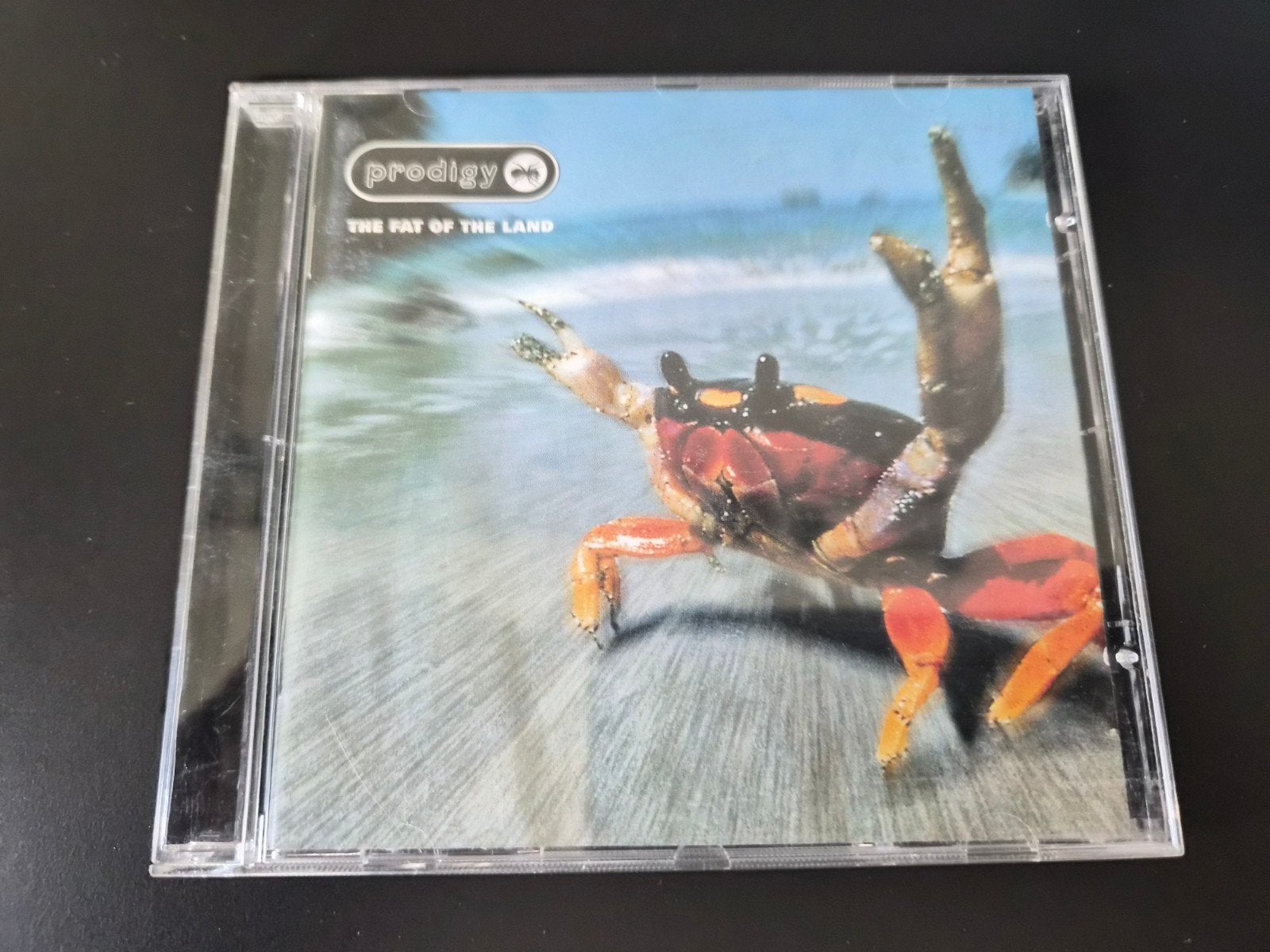 Prodigy album The Fat Of The Land cd, Verzenden, Zo goed als nieuw, Overige formaten