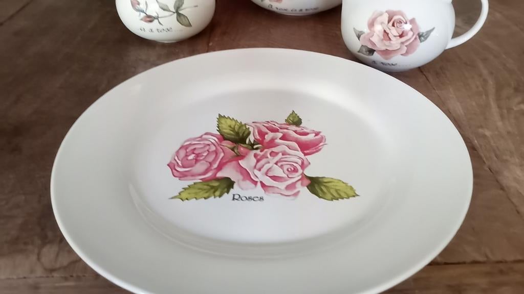 servies jet ter steege Roses bord 24,5 cm, Ophalen of Verzenden, Zo goed als nieuw, Bord(en), Overige stijlen