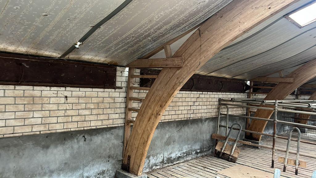 Houten spanten, Ophalen, Hout, Terrastegels