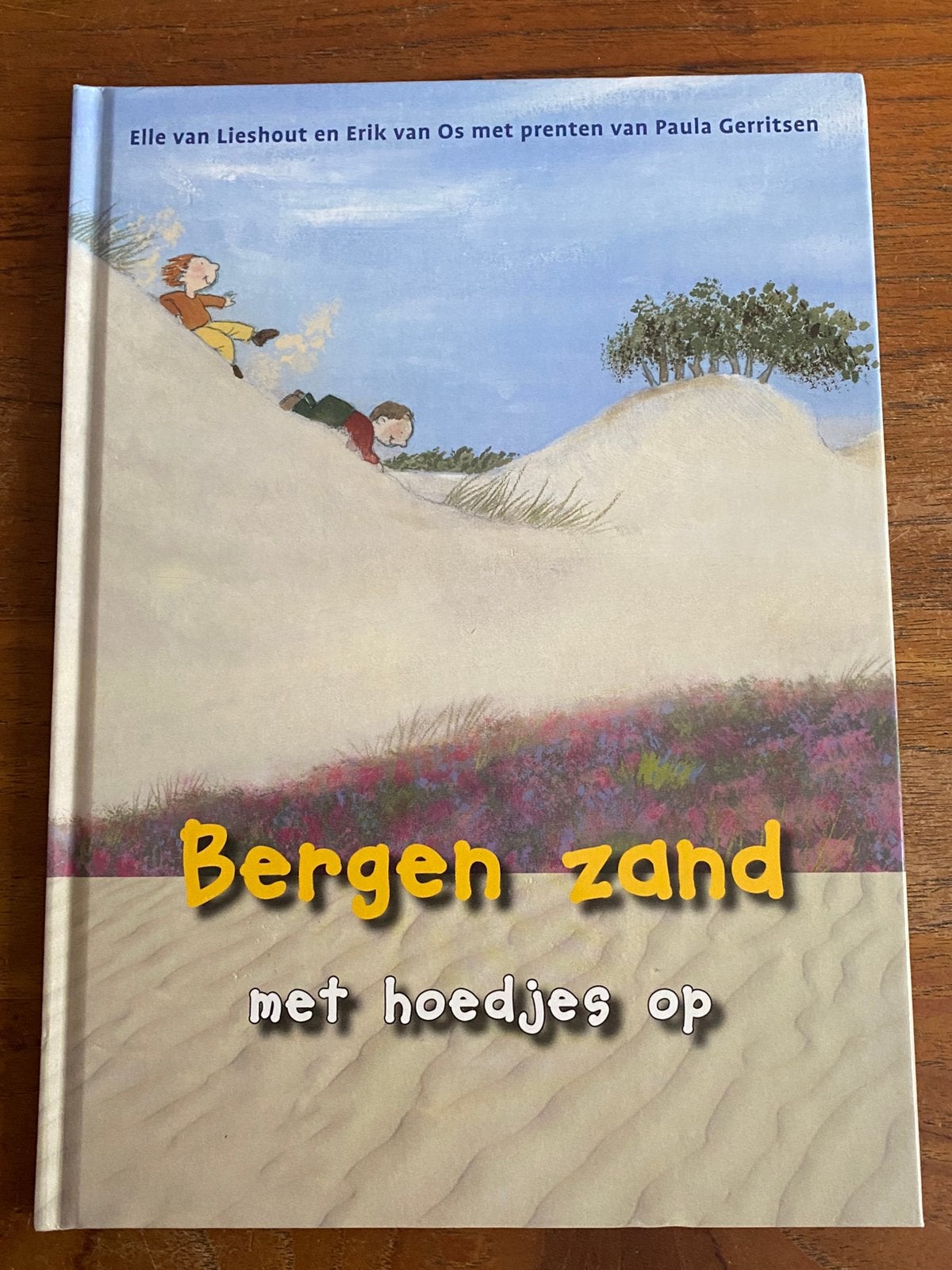 Bergen zand met hoedjes op - Elle van Lieshout /Erik van Os, Ophalen of Verzenden, Zo goed als nieuw, Elle van Lieshout; Erik van Os