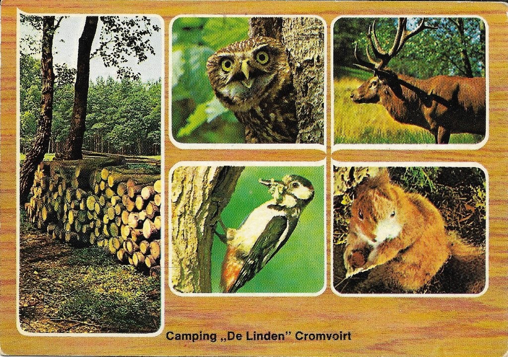 Ansichtkaart  	Cromvoirt	De Linden	Camping  	5-luik, Verzenden, 1960 tot 1980, Gelopen, Noord-Brabant