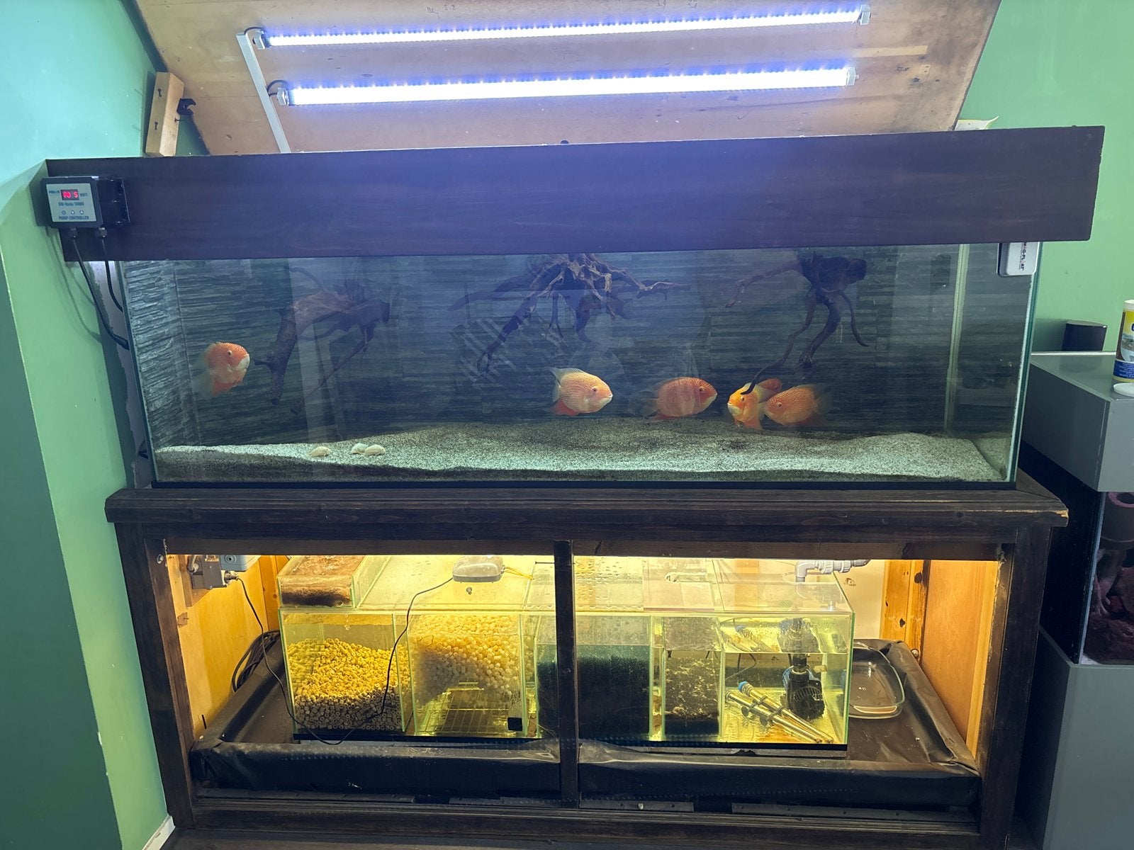 Complete aquarium 200x60x60 – 720L – bioloog & techniek, Ophalen, Gebruikt, Overige typen, Overige merken