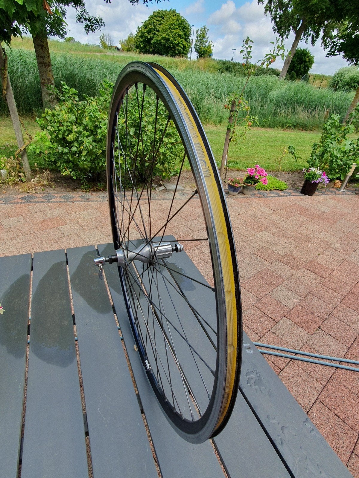 28inch ambrosio velg met campagnolo naaf, Ophalen, Zo goed als nieuw