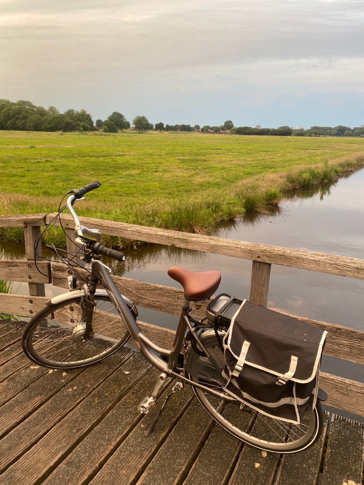 Electric bike vogue basic, Fietsen en Brommers, Ophalen of Verzenden, 30 tot 50 km per accu, Overige merken