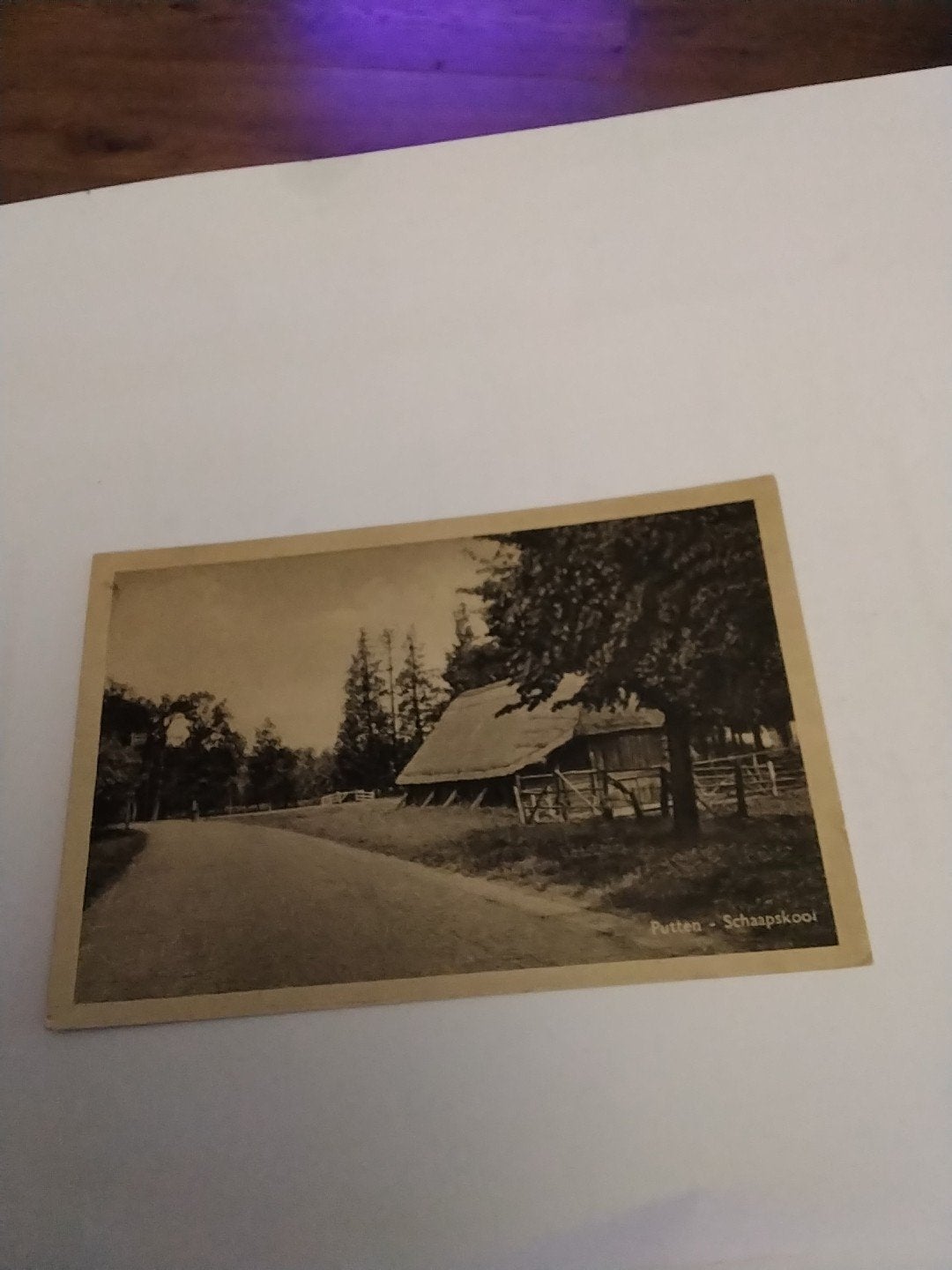 Oude ansichtkaart Putten - Schaapskooi, Verzamelen, Ophalen of Verzenden, 1920 tot 1940, Gelopen, Gelderland