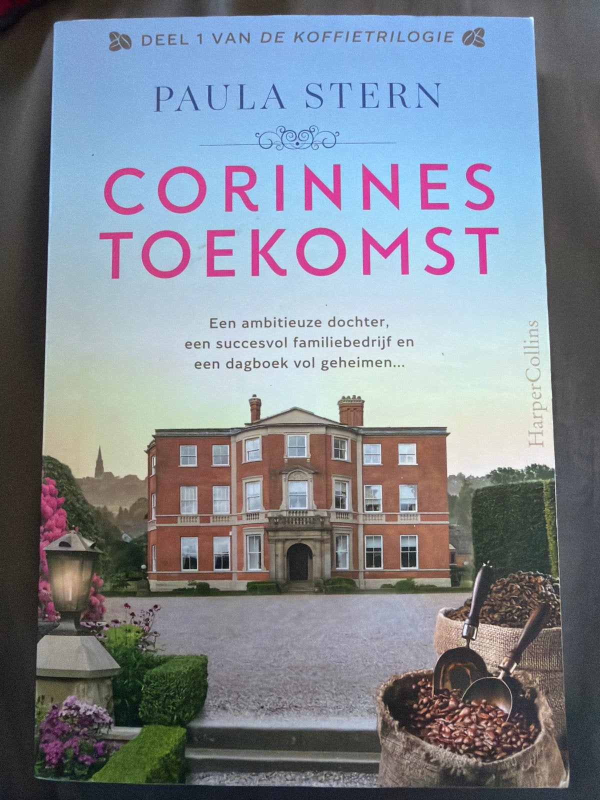 SLK.  Paula Stern - Corinnes toekomst, Boeken, Ophalen of Verzenden, Zo goed als nieuw, Paula Stern