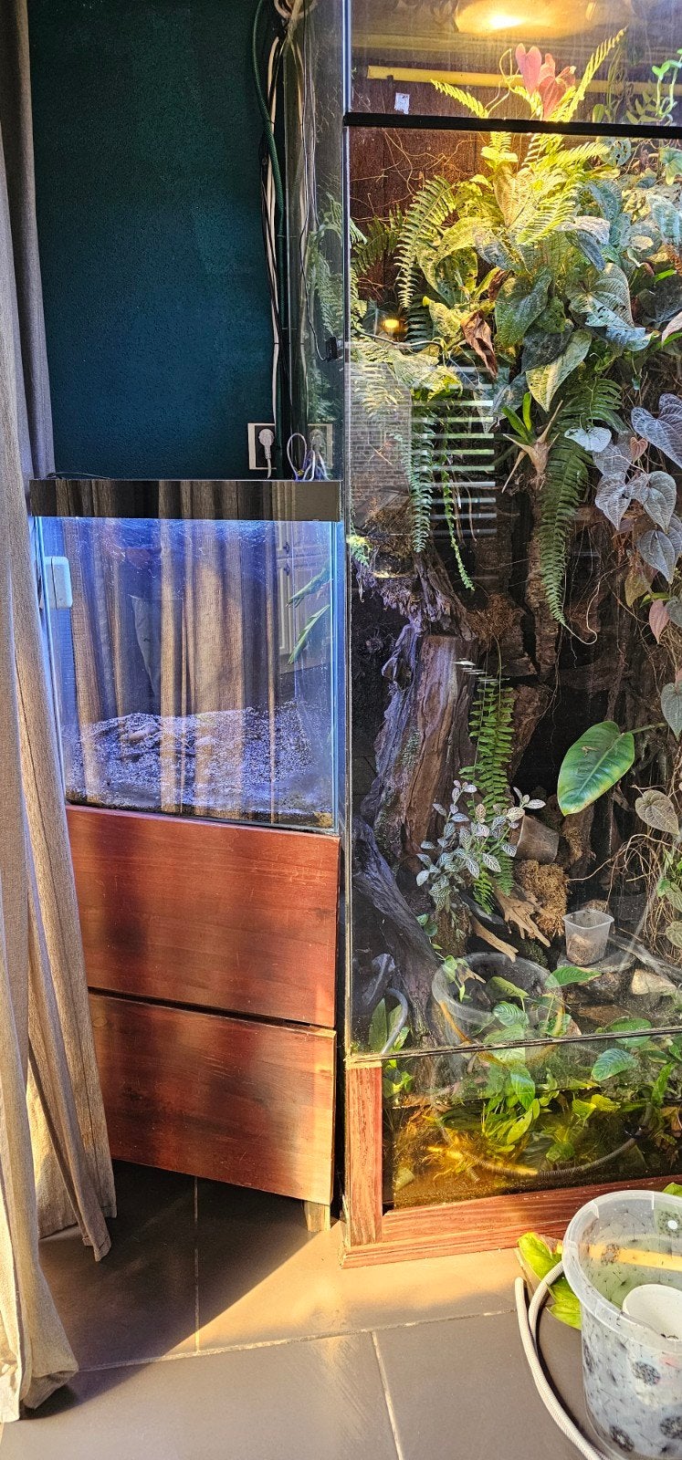 Zee / zoet aquarium, Ophalen, Leeg aquarium