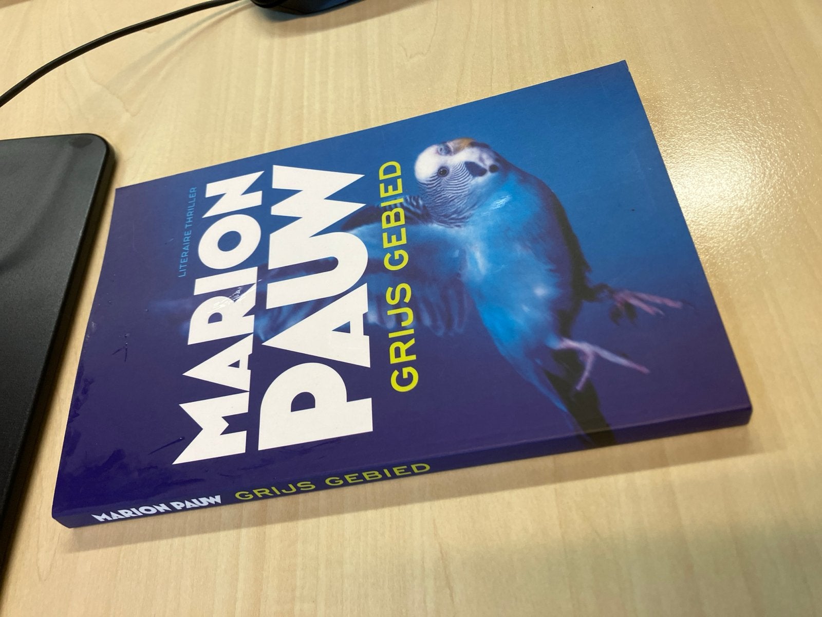 Marion Pauw - Grijs Gebied (Literaire thriller), Ophalen of Verzenden, Zo goed als nieuw