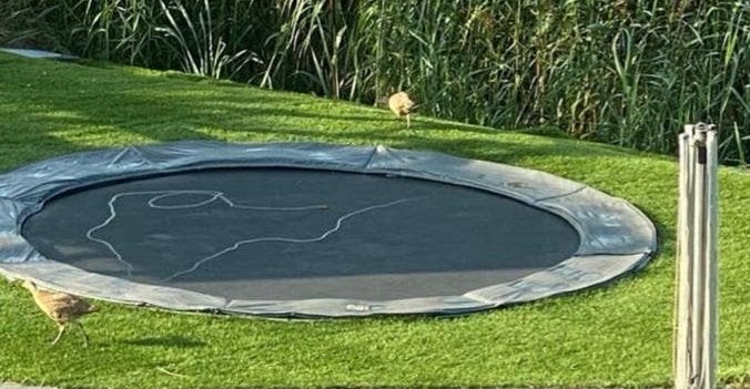 Trampoline 366 cm - Inbouwmodel, Ophalen of Verzenden, Gebruikt