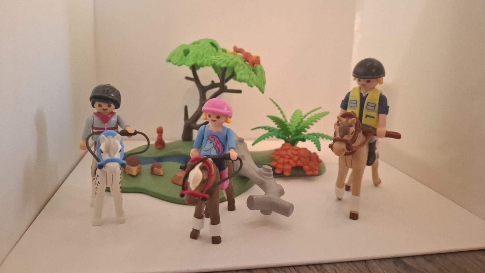 Playmobil 5685: Pony rijden, Kinderen en Baby's, Speelgoed | Playmobil, Ophalen, Gebruikt, Complete set, Country