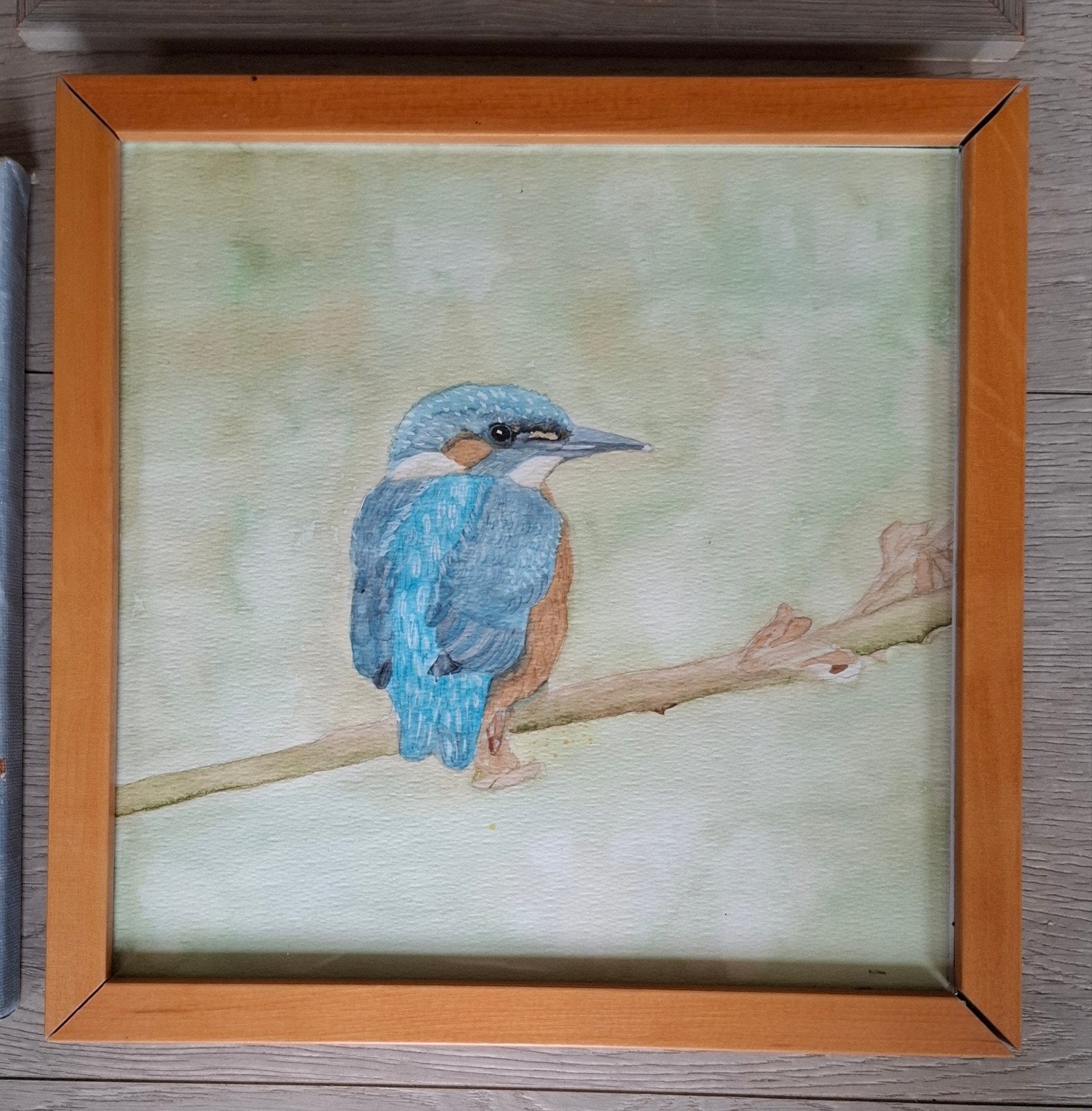 ijsvogel schilderijtje 25x25, Ophalen of Verzenden