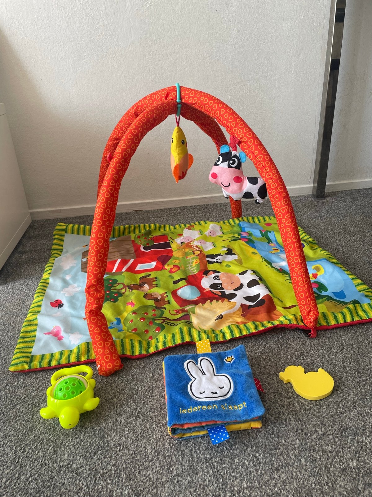 Speelkleed met babygym en extra speelgoed, Ophalen of Verzenden, Gebruikt, Speelkleed