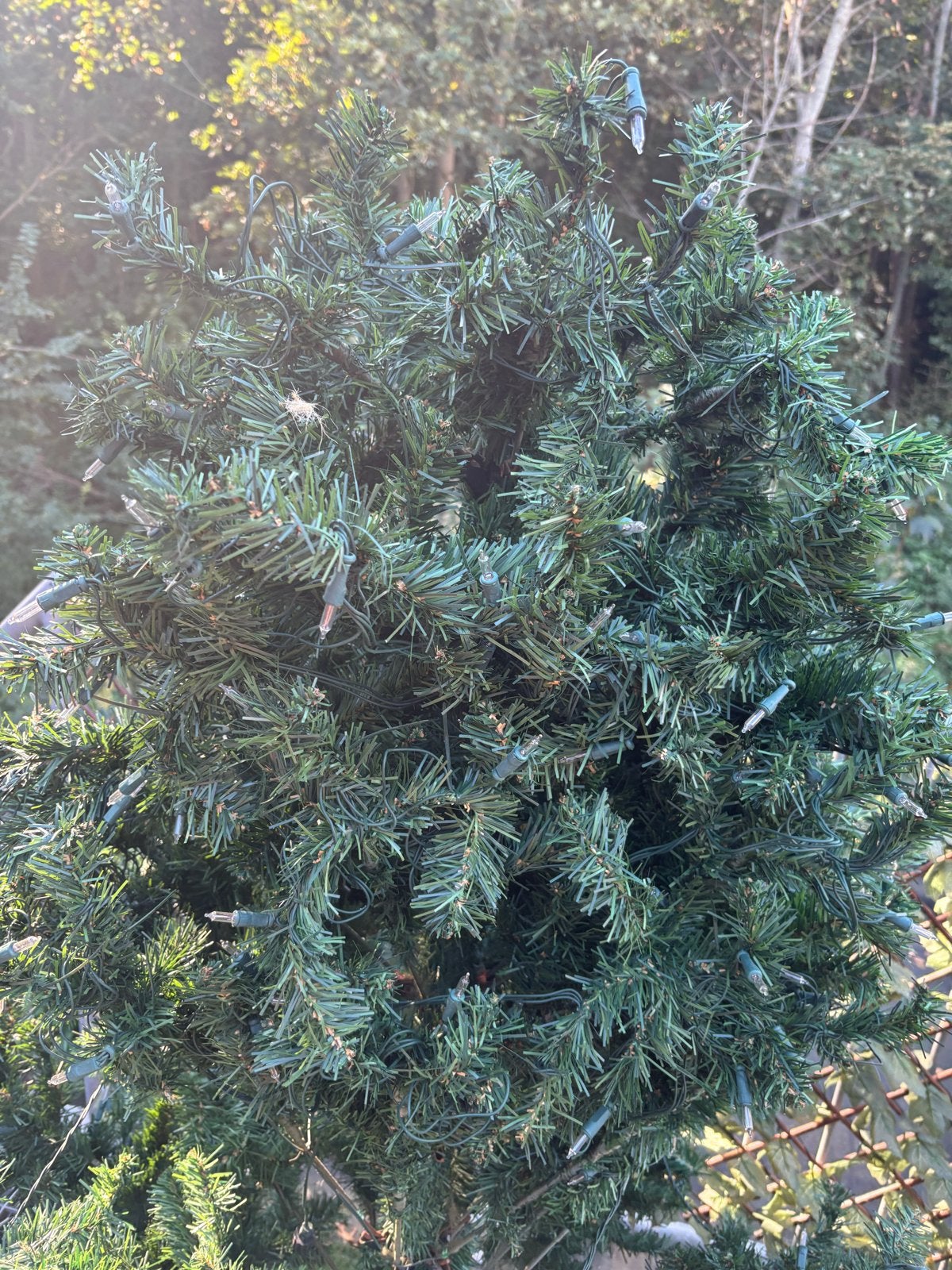 Kunst x mas tree, Ophalen