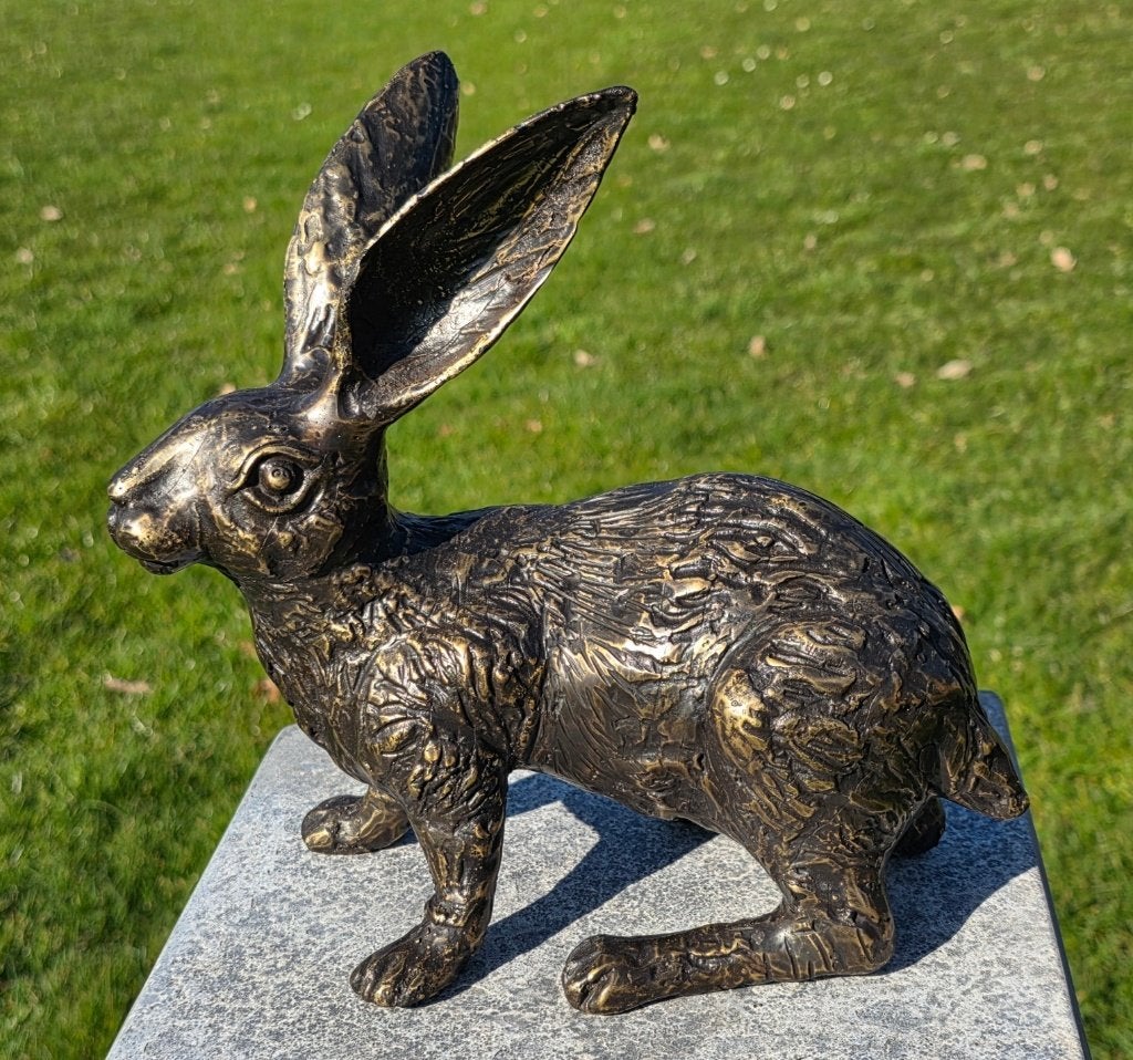 HAAS / bronzen tuinbeeld / brons, Nieuw, Info@huisentuindecoratiemarie.nl, Huis en tuin decoratie marie, Dierenbeeld