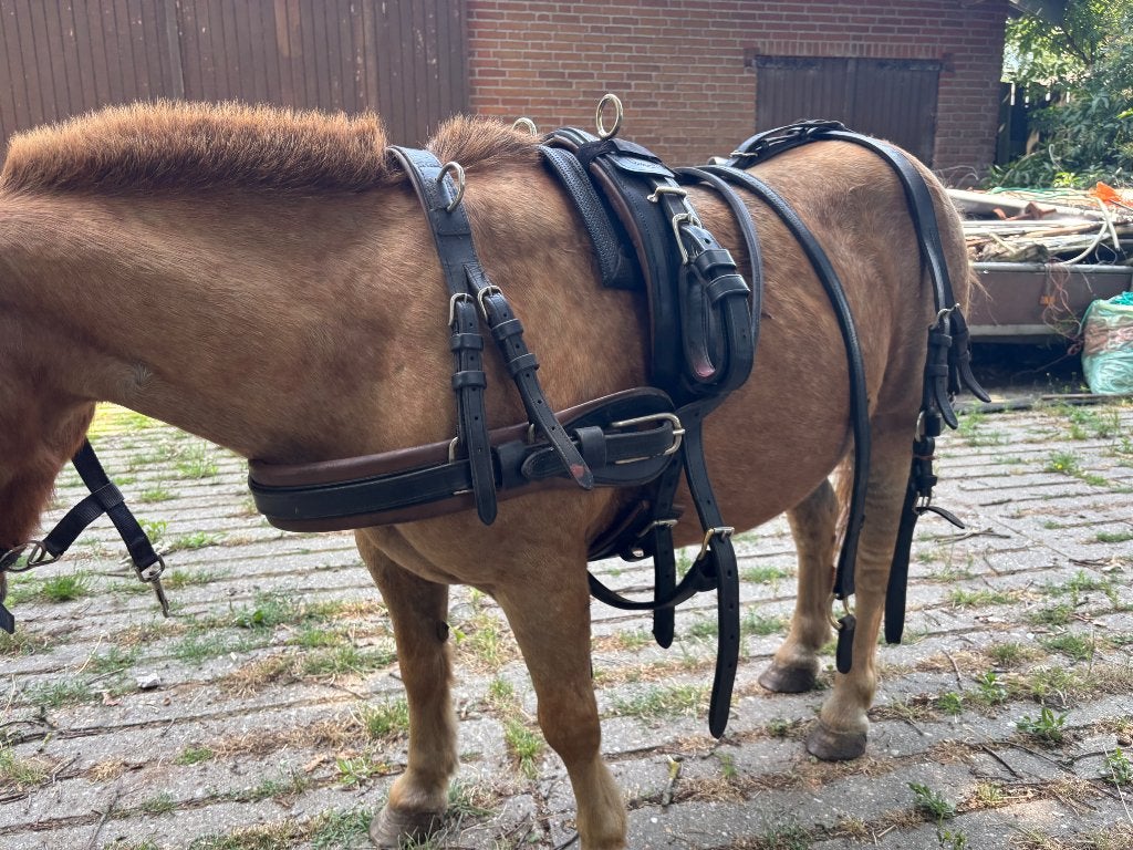 Pony tuig, Shetlander, Overige disciplines, Verstelbaar, Mentuig