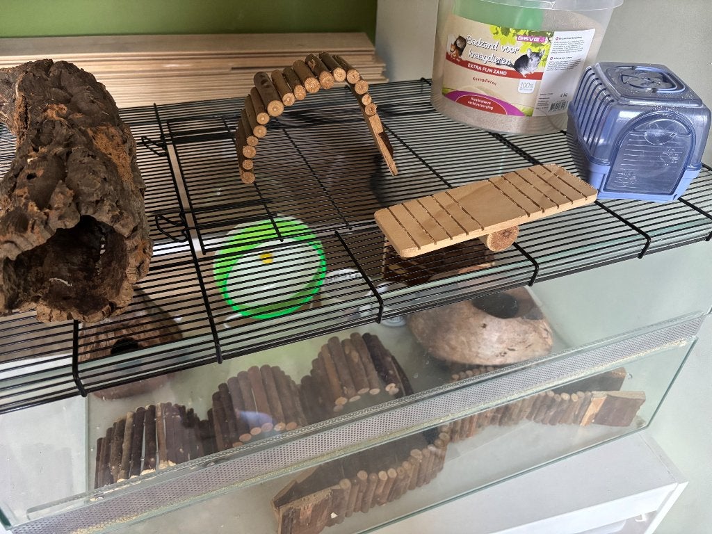 Hamster kooi, Dieren en Toebehoren, Kooi, Gebruikt, Minder dan 75 cm, Hamster