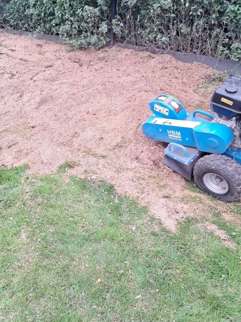 Boom stobbenfrezen  . Tuin opschoonen.