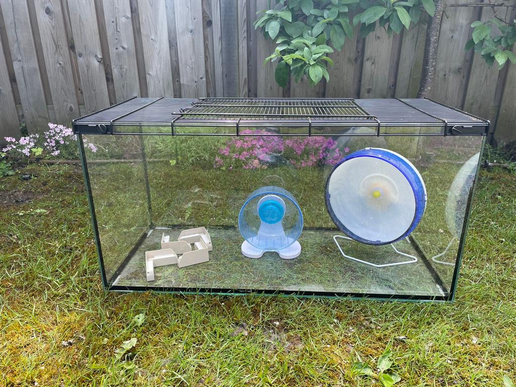Ferplast hamsterkooi voor dwerghamster, Kooi, Gebruikt, Minder dan 75 cm, Muis