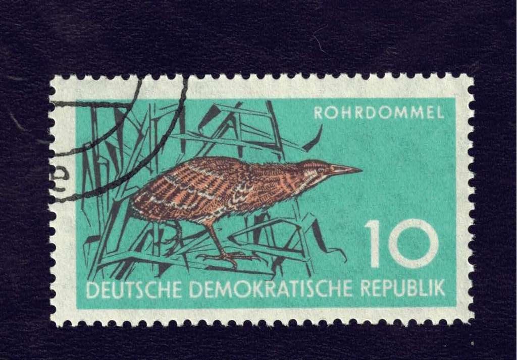 Fauna - Dieren - Roerdomp - Duitsland - D.D.R. - gebr, Ophalen of Verzenden, Gestempeld, Dier of Natuur