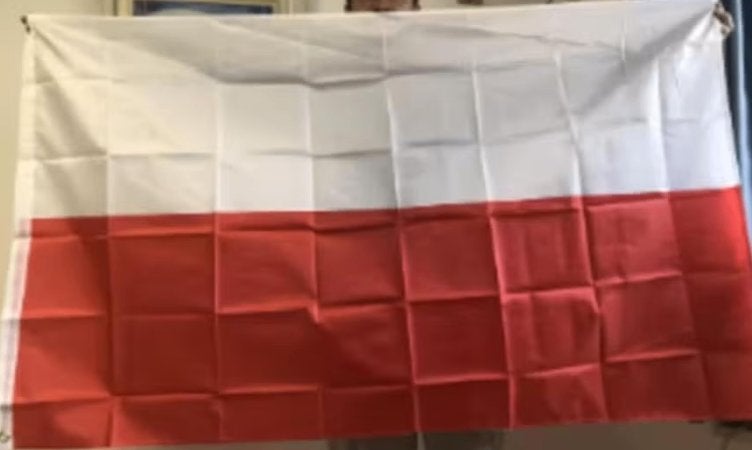 Grote vlag Polen zonder tekst en logo (150x90cm), Diversen, Vlaggen en Wimpels, Ophalen of Verzenden, Nieuw