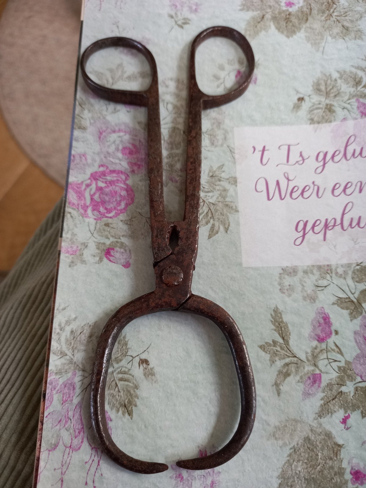 antieke kandijtang of klontjestang brocante, Ophalen of Verzenden