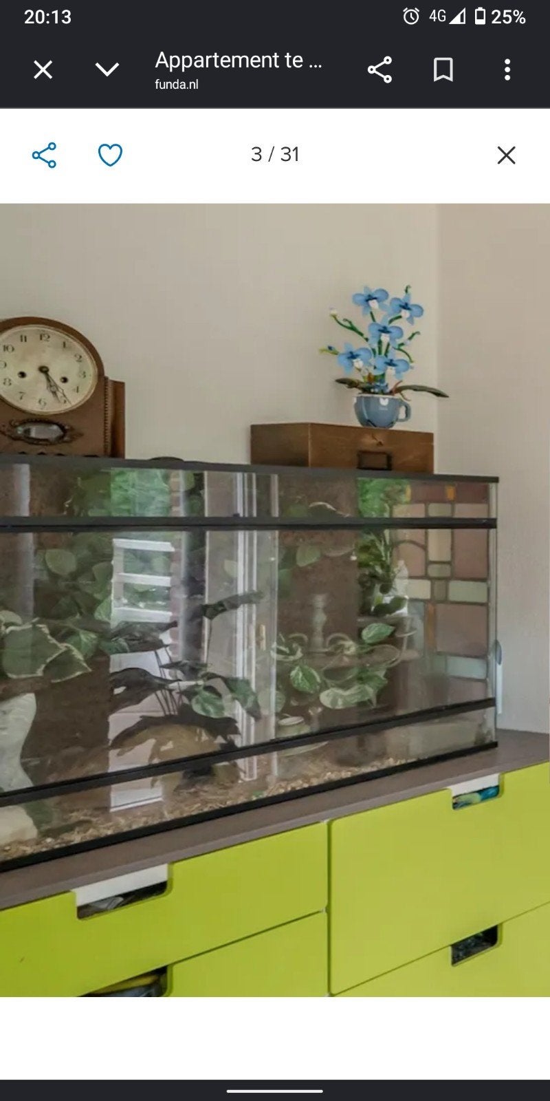 terrarium, Ophalen