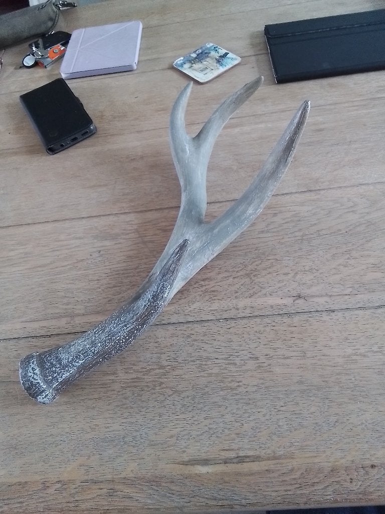 twee hertengewei, Ophalen of Verzenden, Gebruikt, 45 cm, Decoratieobject