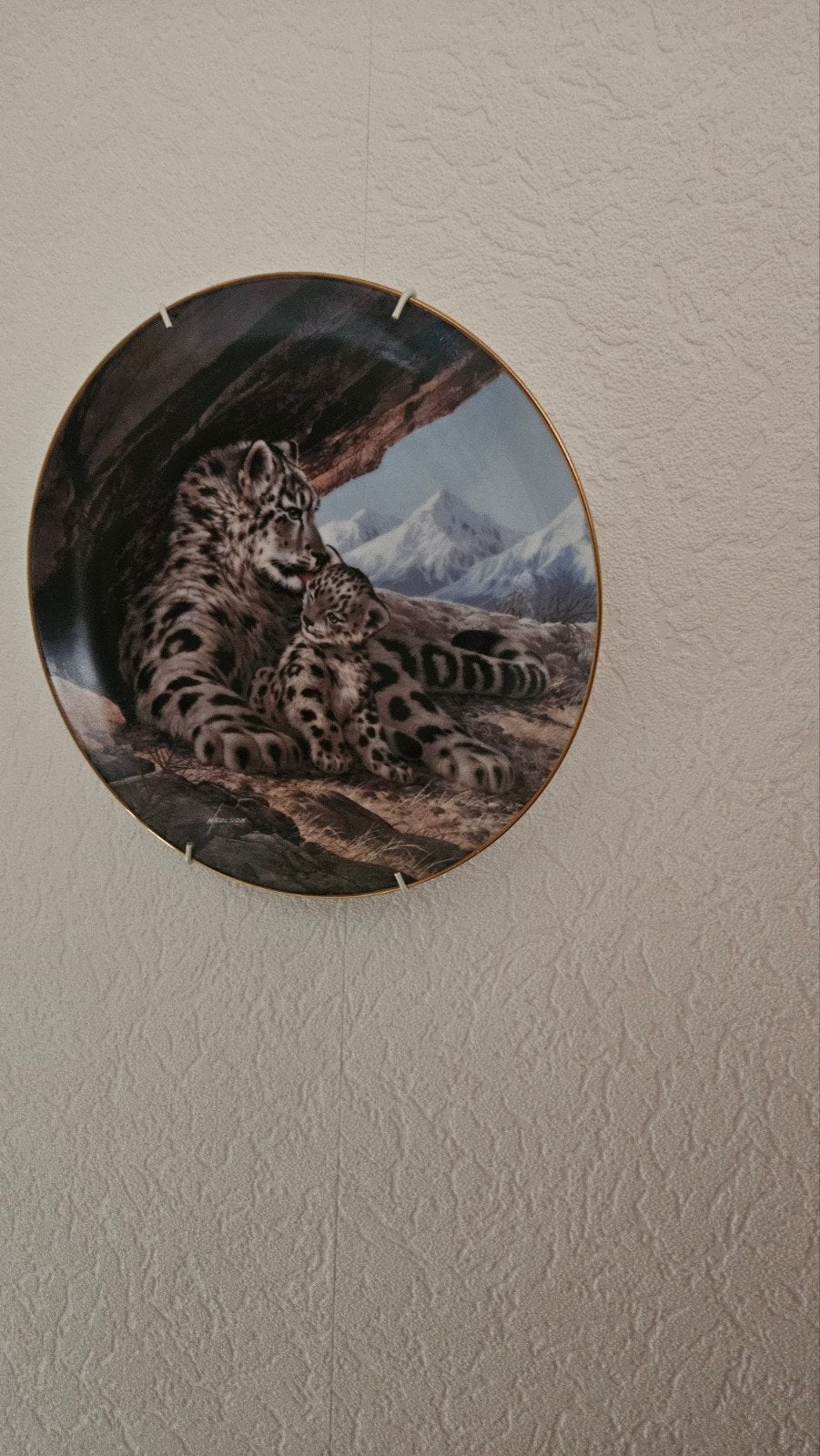 wandbord the snow leopard van will nelson, Ophalen