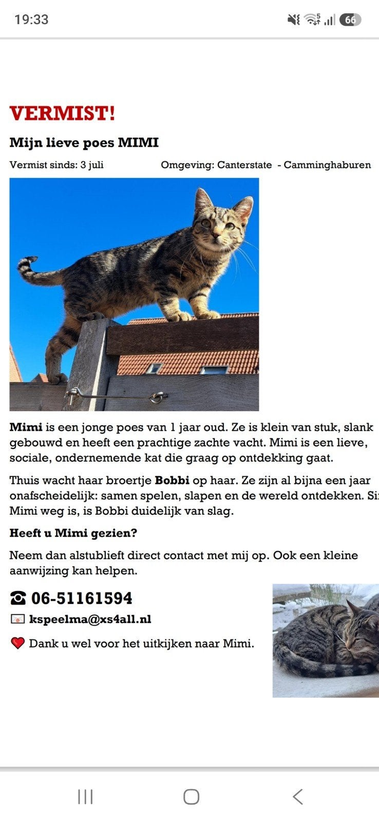 POES VERMIST CAMMINGHABUREN, Dieren en Toebehoren