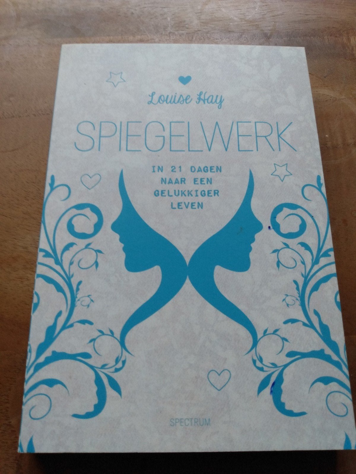 Louise Hay - Spiegelwerk, Achtergrond en Informatie, Ophalen of Verzenden, Zo goed als nieuw, Louise Hay