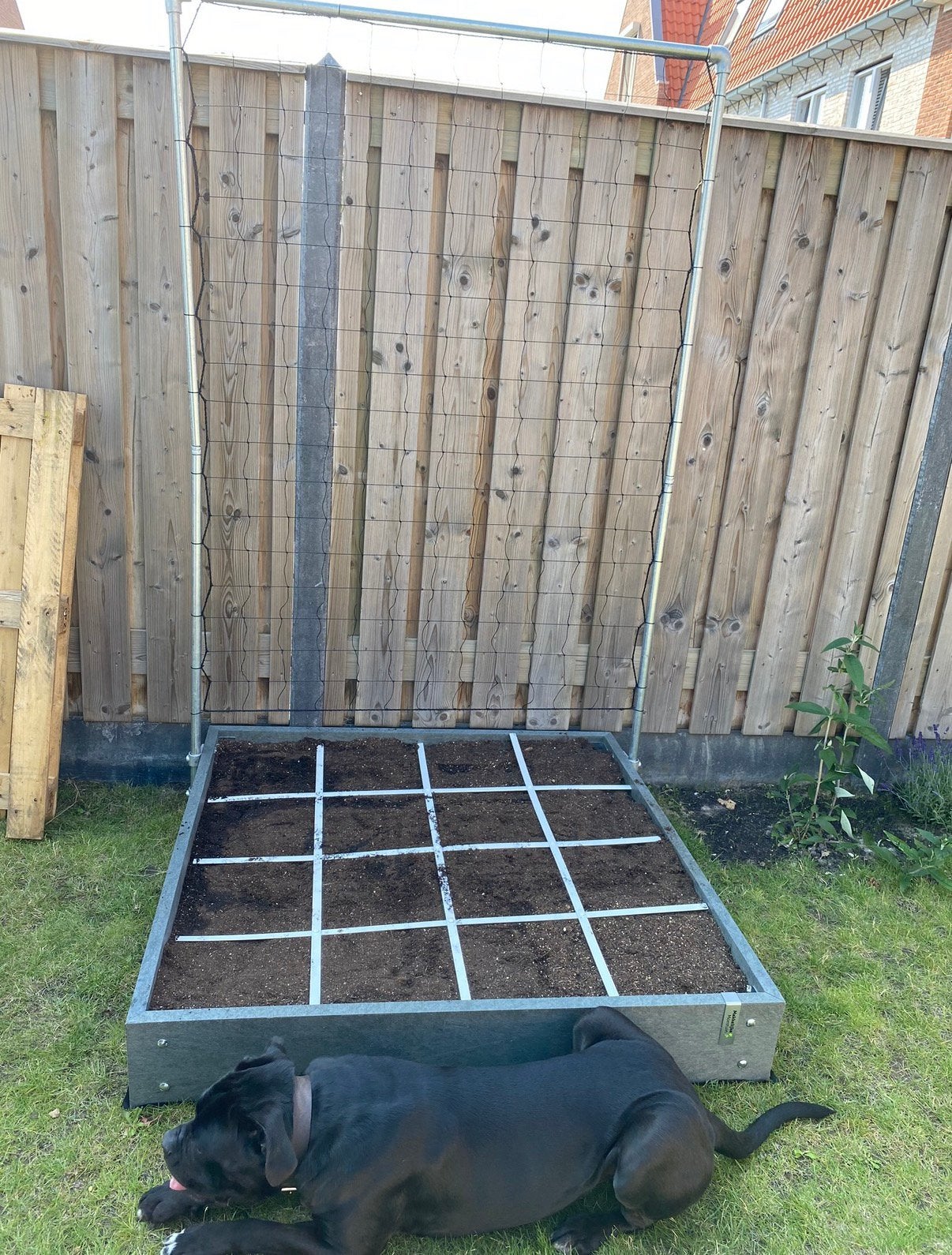 Makkelijke moestuinbak 120x120 cm inclusief rek, Ophalen, Gebruikt, 100 cm of meer, Vierkant
