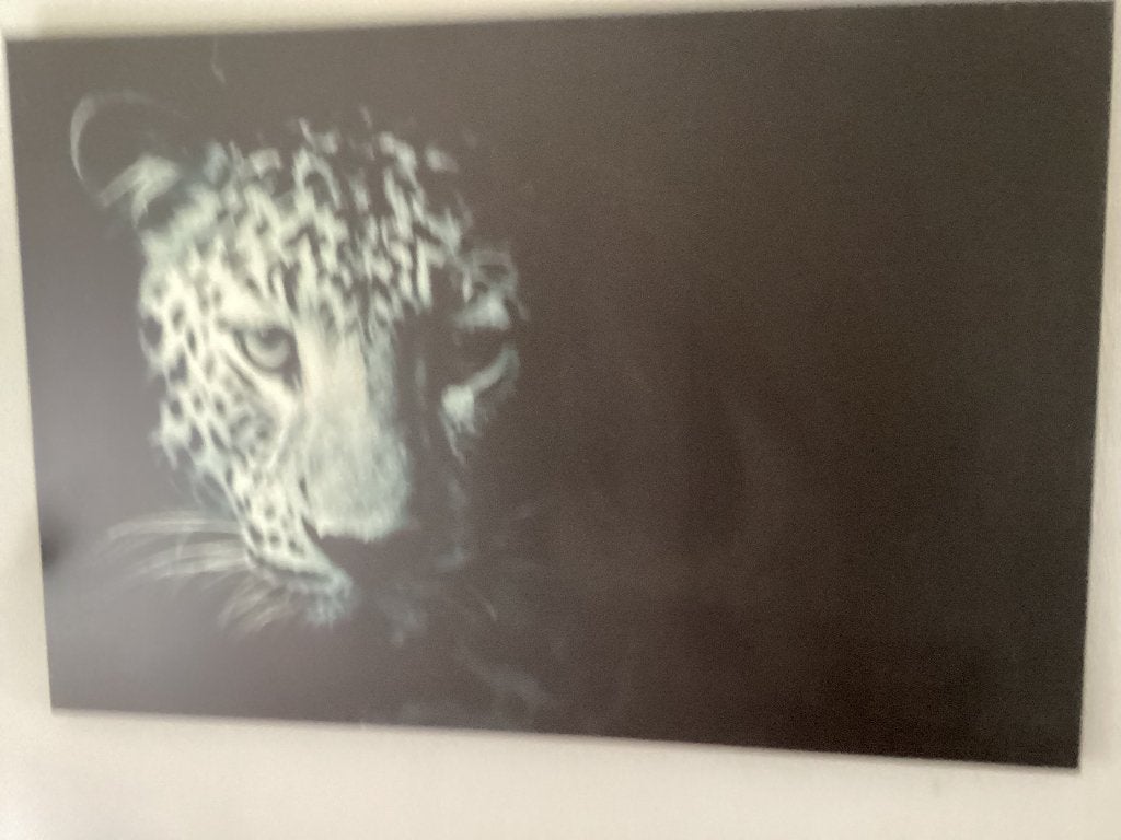 Canvas fotoprint luipaard, Ophalen, 125 cm of meer, 75 – 100, Print