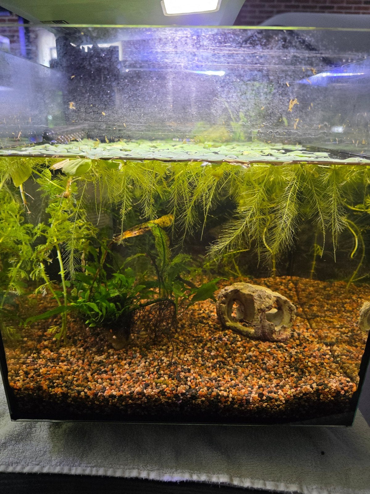 Superfish qubiq 30, Dieren en Toebehoren, Ophalen, Leeg aquarium, Superfish