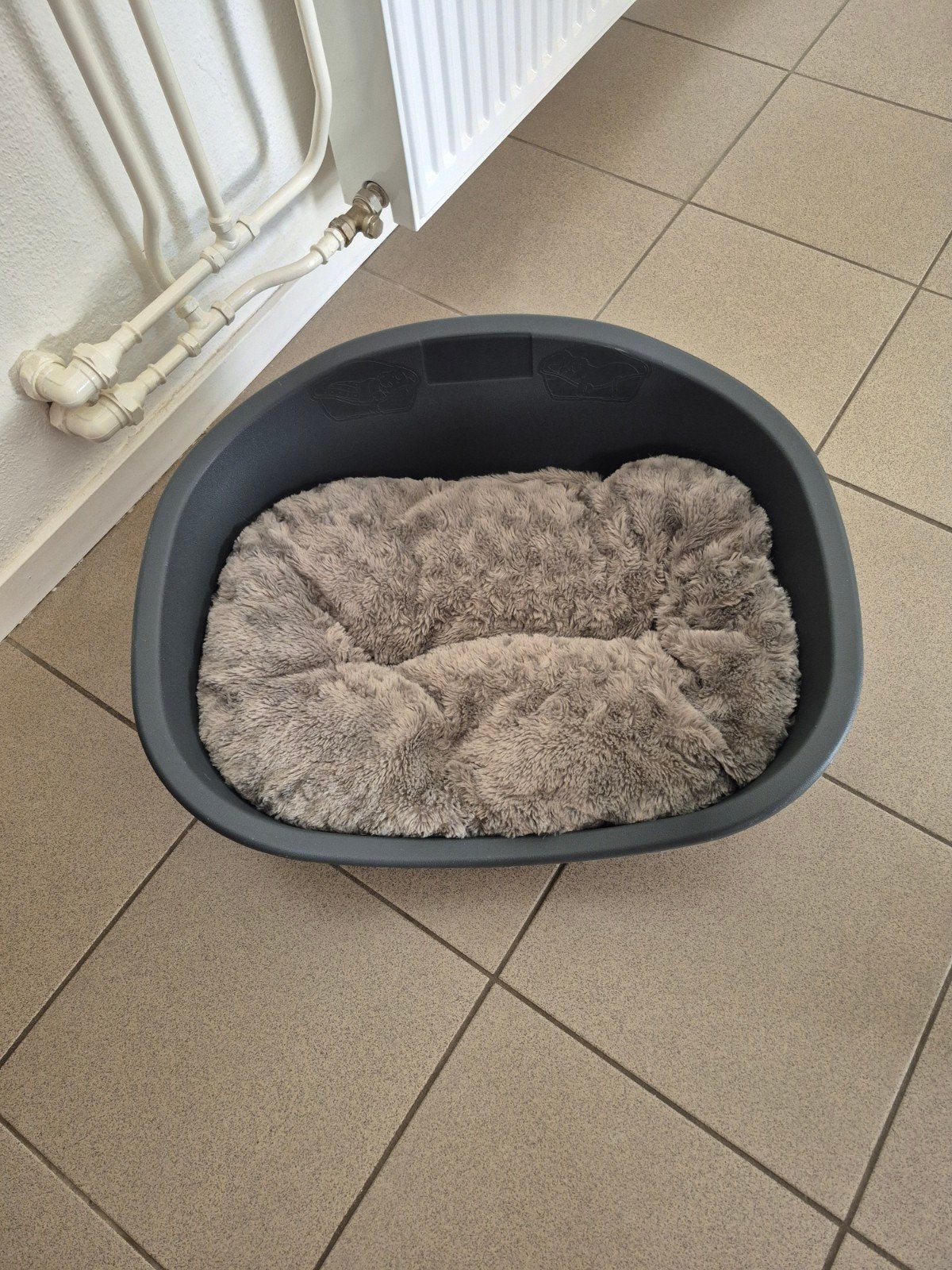 hondenmand plastic met kussen, Dieren en Toebehoren, Ophalen, Zo goed als nieuw